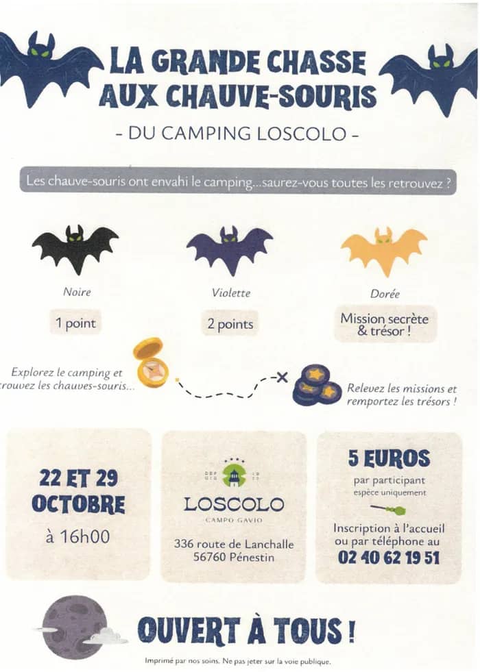 Illustration de l'événement : La grande chasse aux chauve-souris