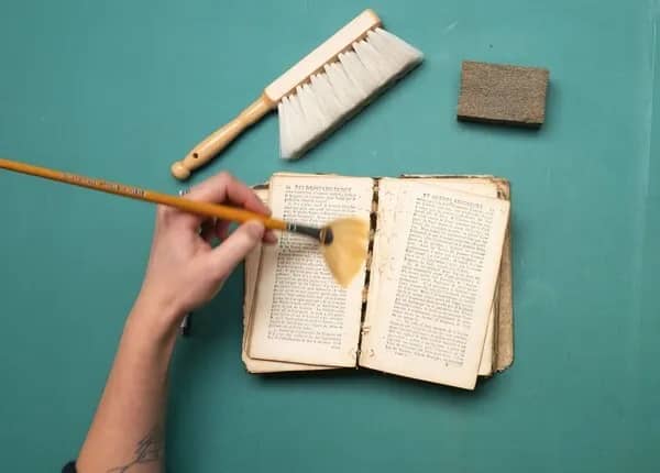 Illustration de l'événement : Atelier - Comment protégrer et conserver ses archives personnelles et familiales ?