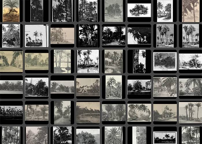 Illustration de l'événement : Face au déluge des images