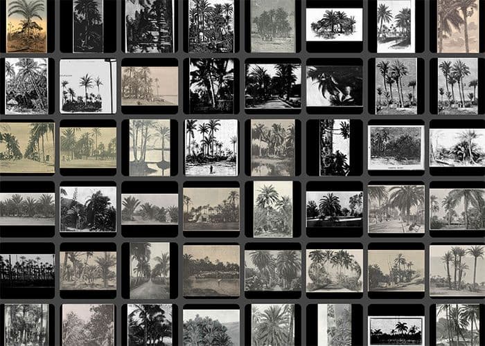 Illustration de l'événement : Face au déluge des images