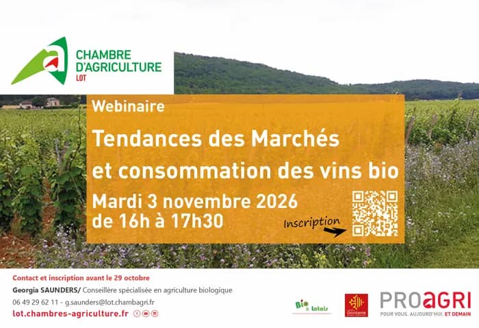 Illustration de l'événement : Webinaire : Tendances des Marchés et consommation des vins bio