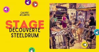 Illustration de l'événement : Stage de découverte du steeldrum