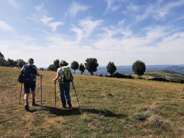 Illustration de l'événement : Balades d'Olt à l'Aubrac
