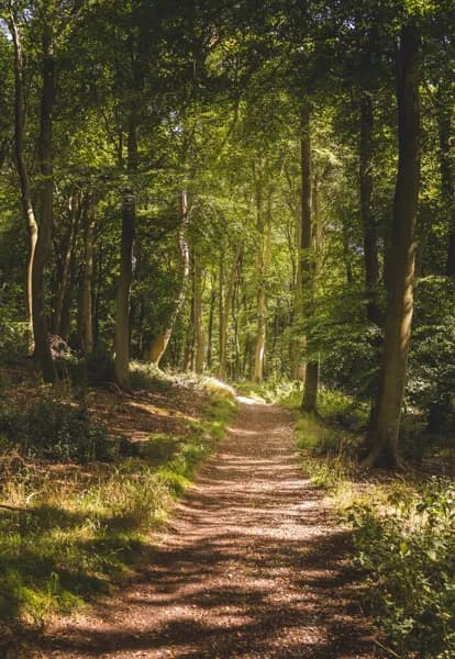 Illustration de l'événement : Rencontre : "Réchauffement climatique : comment la forêt va t-elle s'adapter ?", à Aubrac