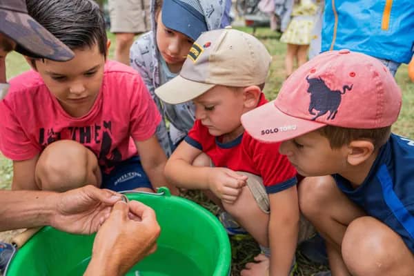 Illustration de l'événement : Concours Départemental Jeunes de Pêche