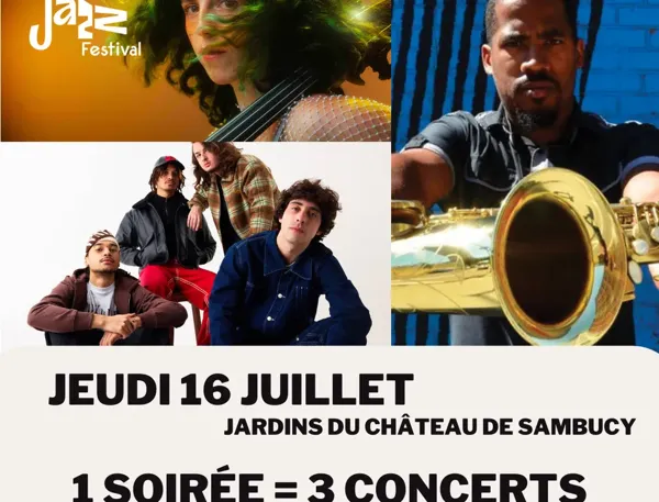 Illustration de l'événement : MILLAU JAZZ FESTIVAL | Soirée du Jeudi 16 juillet | 19H00 | 1 Soirée = 3 Concerts : Louise Knobil Trio (19h) + AMG (21h) + James Brandon Lewis Quartet (22h30)