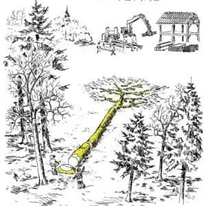 Illustration de l'événement : Conférence Mathias Bonneau, bûcheron