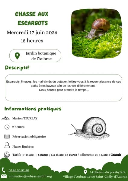 Illustration de l'événement : Spécial enfant "chasse aux escargots"