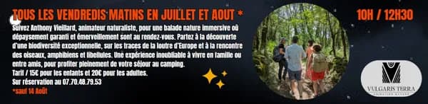 Illustration de l'événement : Camping des Etoiles - Balade nature