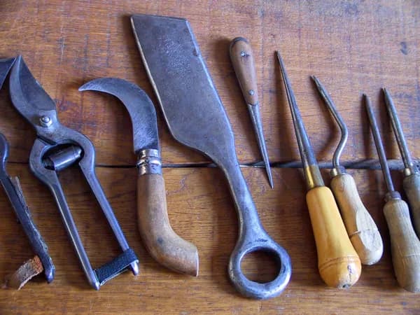 Illustration de l'événement : Journée du savoir faire
