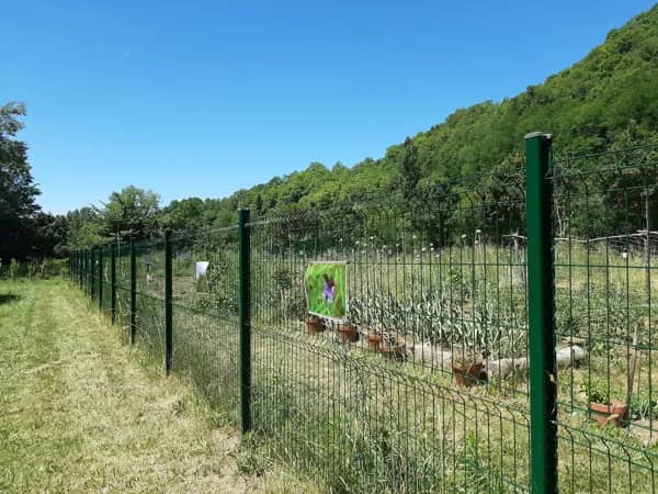Illustration de l'événement : Expo photo sur la biodiversité aux jardins partagés