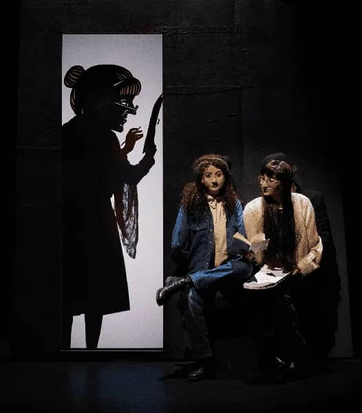 Illustration de l'événement : Spectacle de marionnettes : Juste Irena