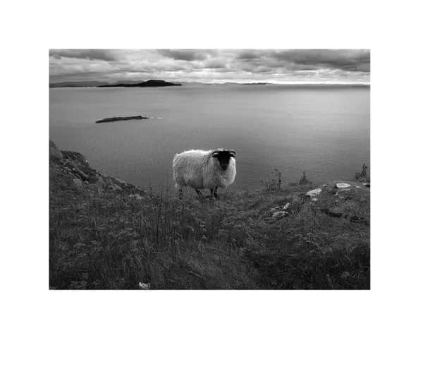 Illustration de l'événement : Exposition « Vert Irlande »