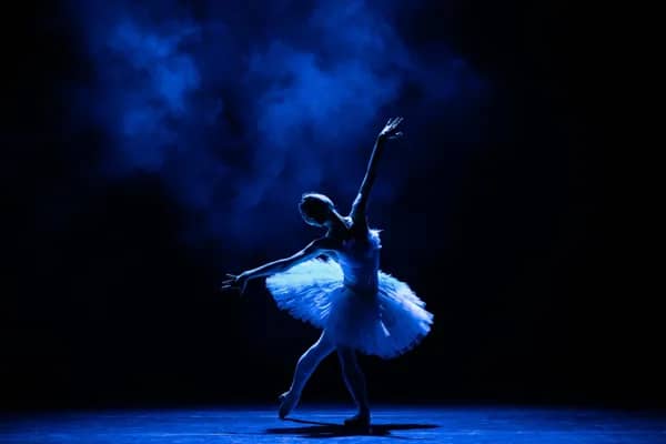 Illustration de l'événement : La Baleine : Danse " Secrets du ballet"