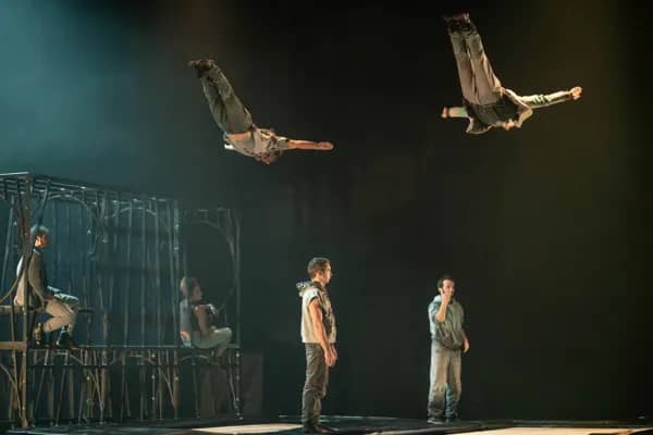 Illustration de l'événement : La Baleine : Cirque " Face aux murs"