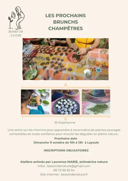 Illustration de l'événement : BRUNCH CHAMPÊTRE