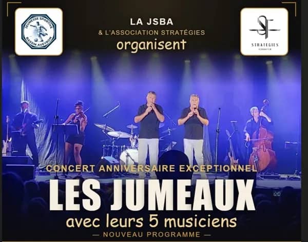 Illustration de l'événement : Les Jumeaux - concert anniversaire