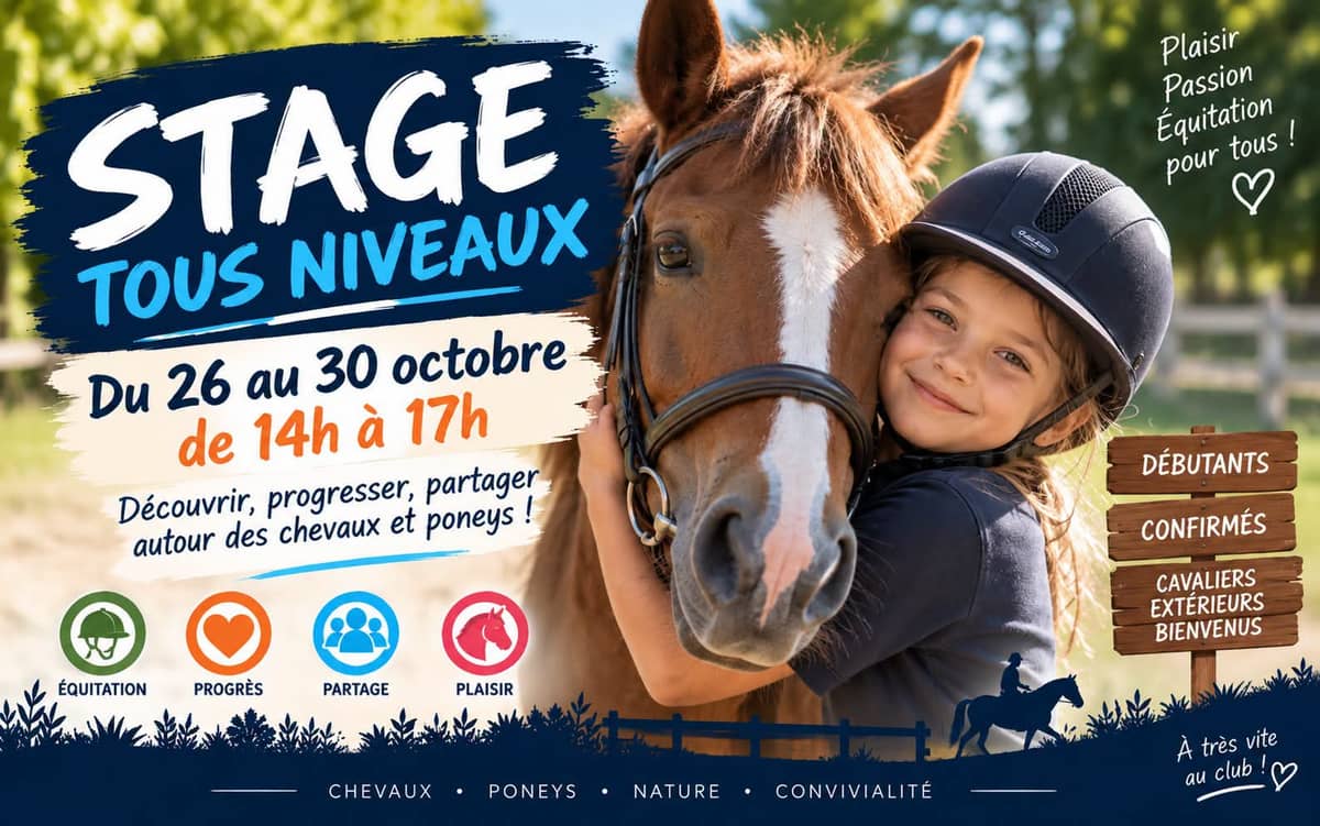Illustration de l'événement : Stage d'équitation - Tous niveaux