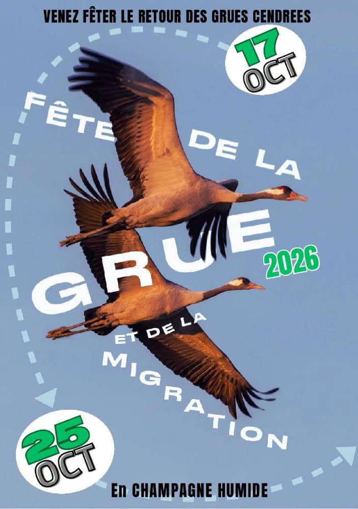 Illustration de l'événement : Fête de la Grue : Couchers de grues sur la RNN de l'étang de la Horre