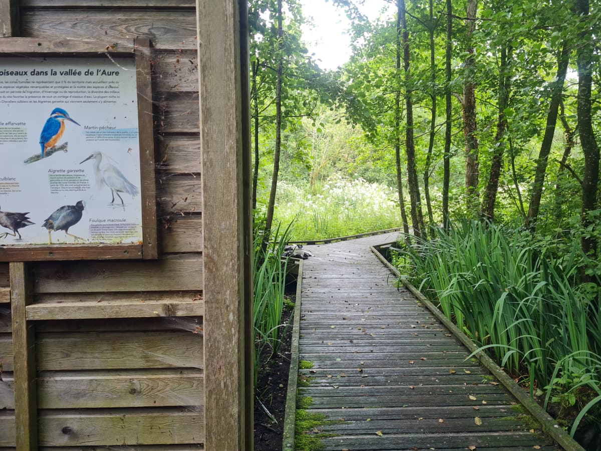 Illustration de l'événement : Balade sensorielle du marais de la vallée de l’Aure