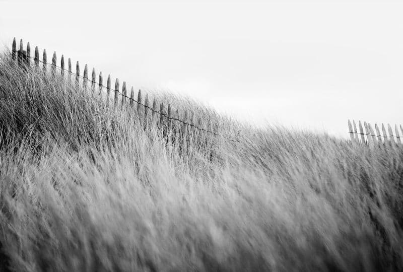 Illustration de l'événement : Photographies de Nicolas Evariste