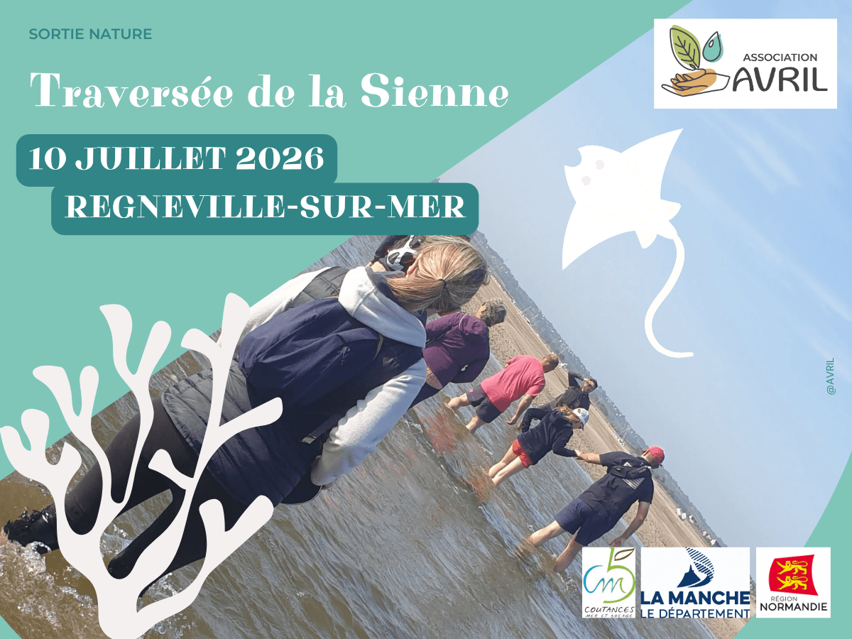 Illustration de l'événement : Traversée de la Sienne