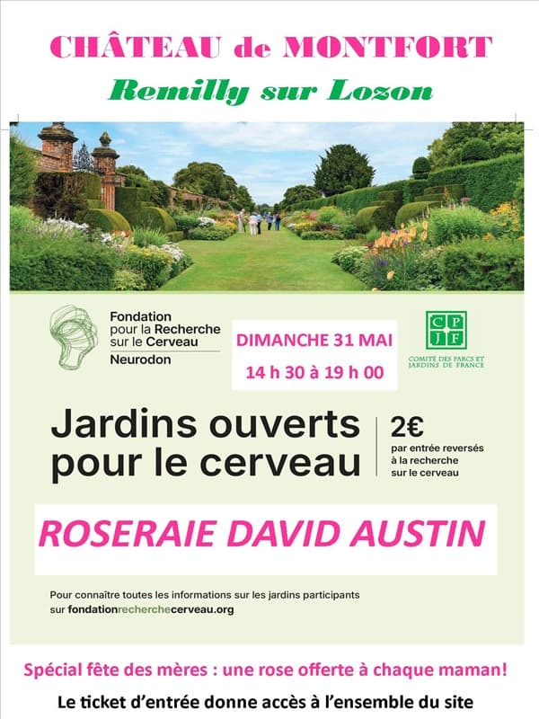 Illustration de l'événement : Jardins ouverts pour le cerveau