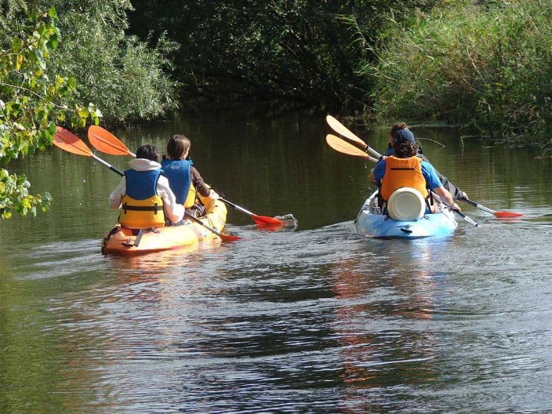 Illustration de l'événement : Balade en kayak, la fin de journée en beauté