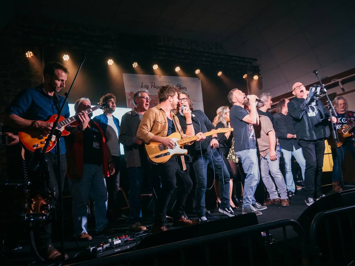 Illustration de l'événement : Concert-conférence « Du Blues texan au rock sudiste » par The Blues Collectiv’