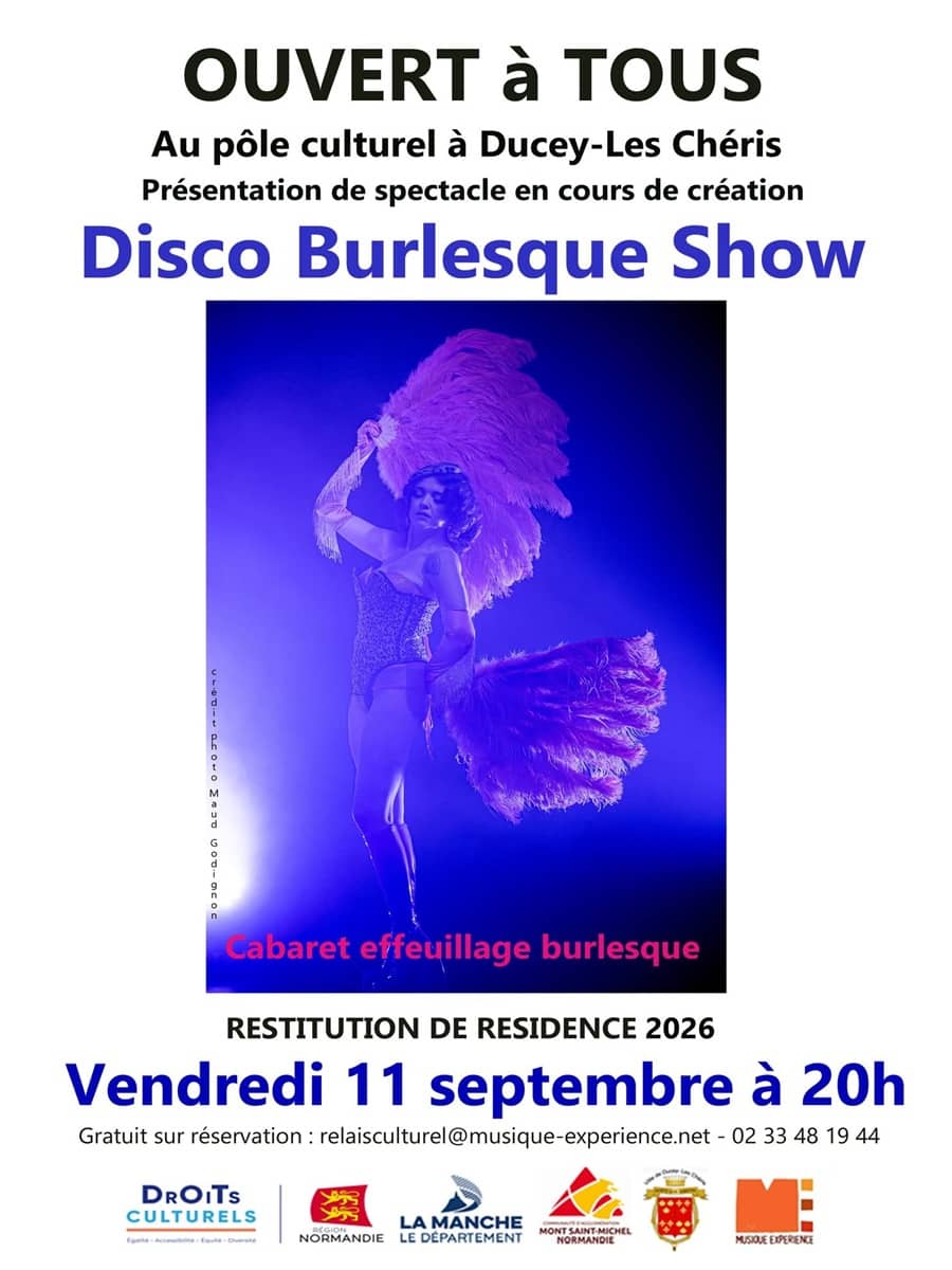 Illustration de l'événement : Disco Burlesque Show