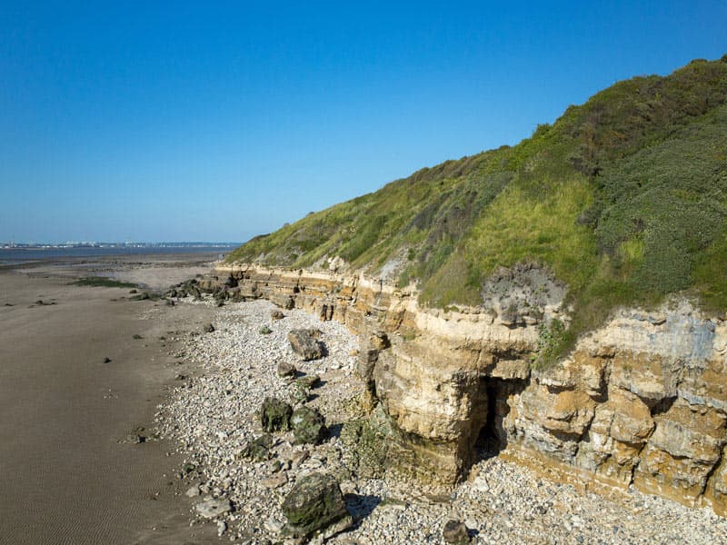 Illustration de l'événement : Les détectives naturalistes au falaises des Roches Noires