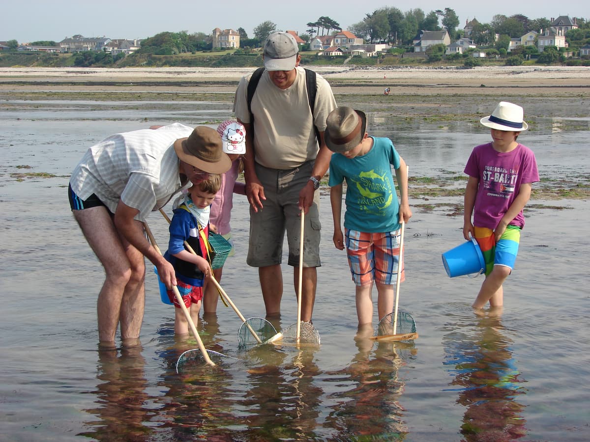 Illustration de l'événement : Atelier familles "A vos épuisettes ! découverte des trésors du littoral"