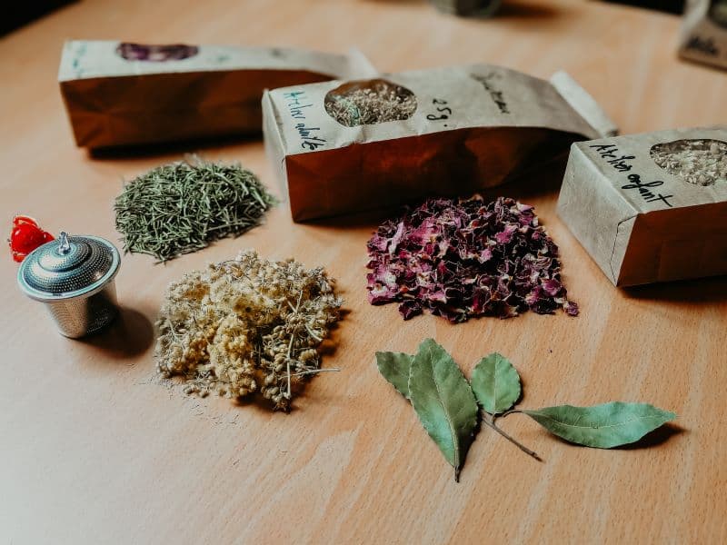 Illustration de l'événement : Atelier-nature (6-12 ans) : l'univers des plantes