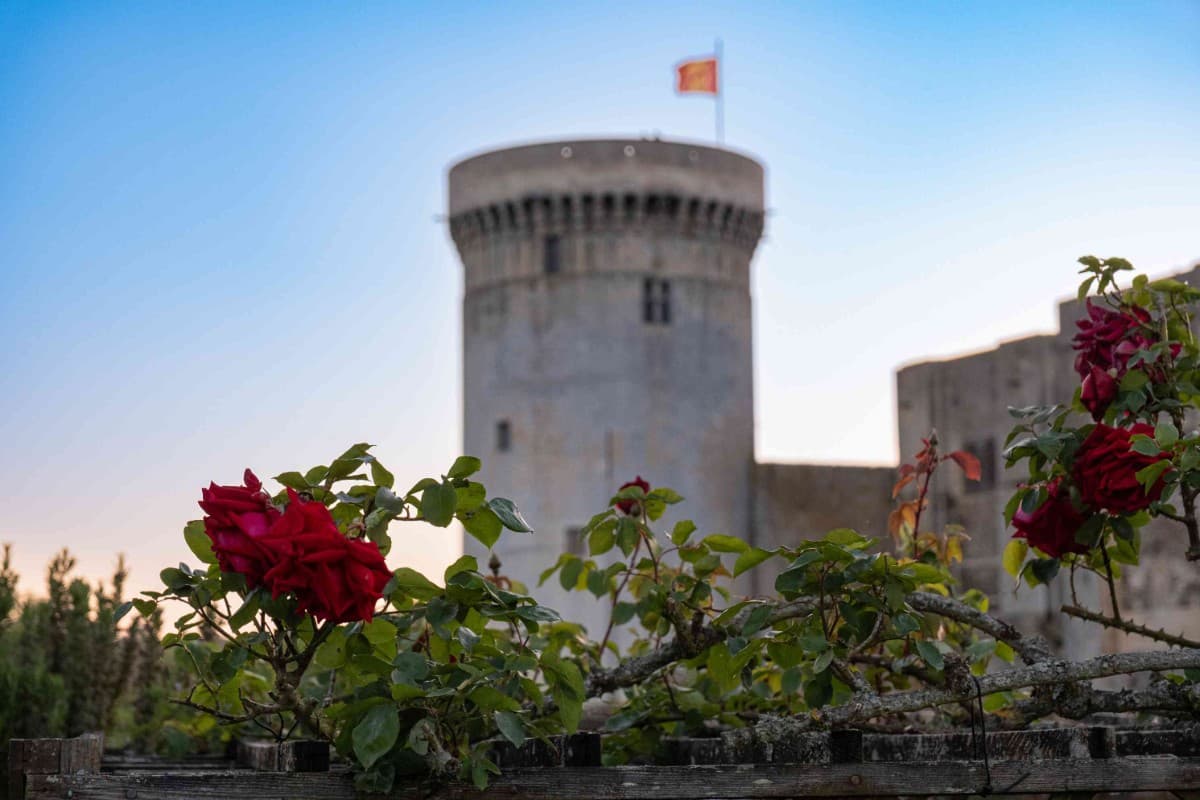 Illustration de l'événement : Rendez-vous aux jardins au château Guillaume-le-Conquérant