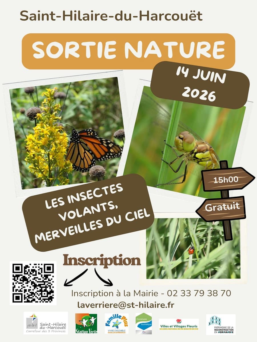 Illustration de l'événement : Sortie nature : Les insectes volants, merveilles du ciel