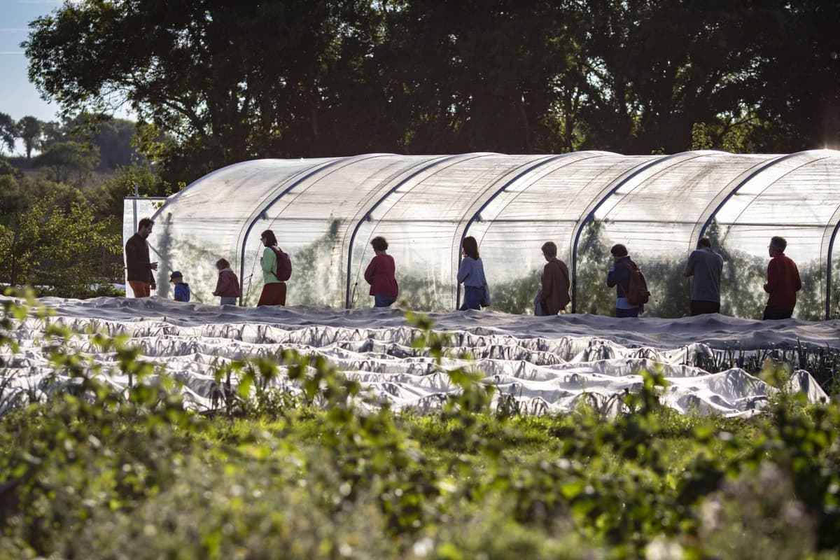 Illustration de l'événement : Visite du Jardin de deux'main : ferme agroécologique