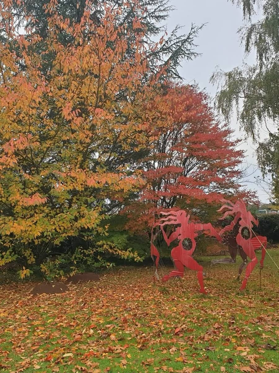 Illustration de l'événement : Visite du jardin habité de St Georges