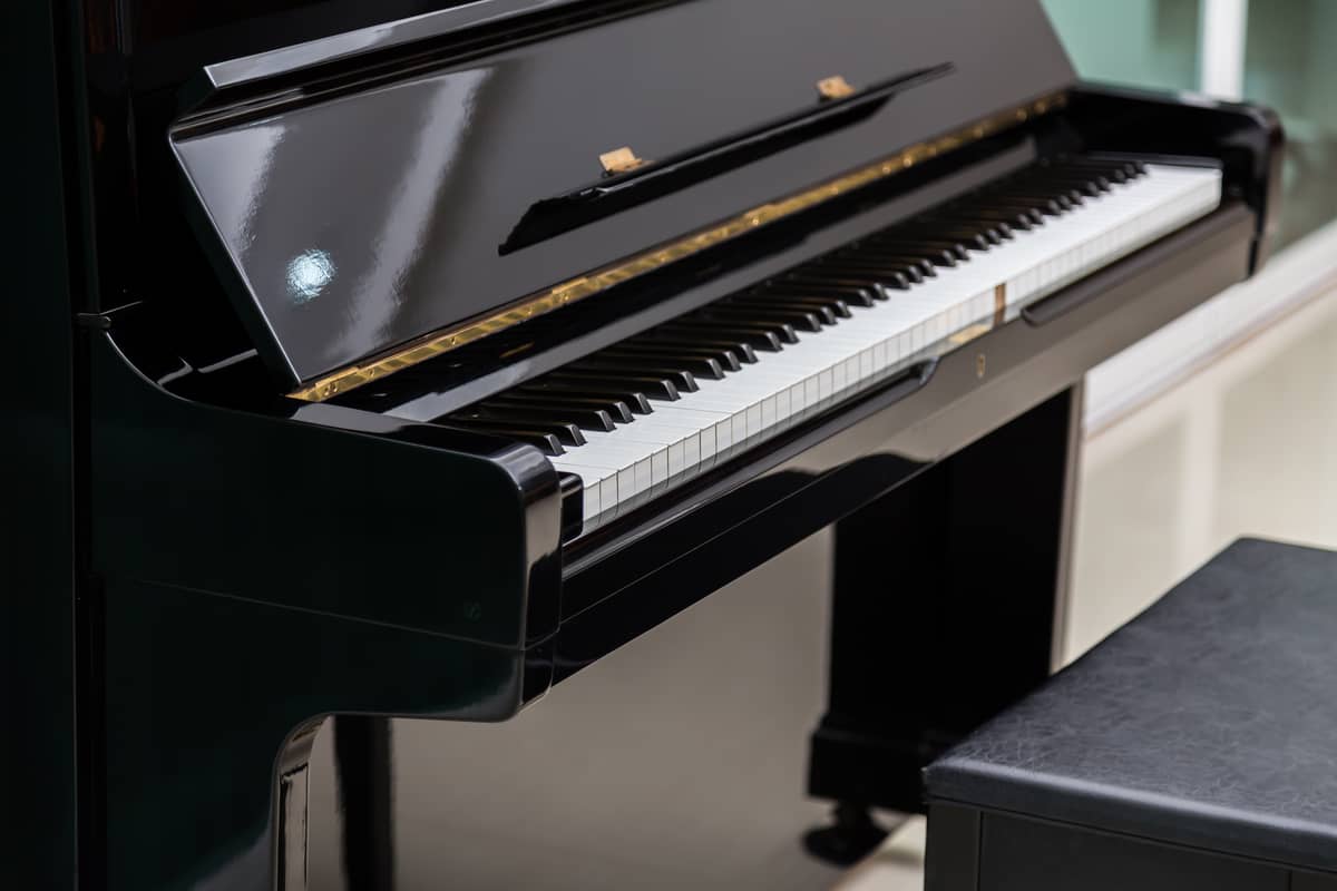 Illustration de l'événement : Live Piano Bar — La Galerie