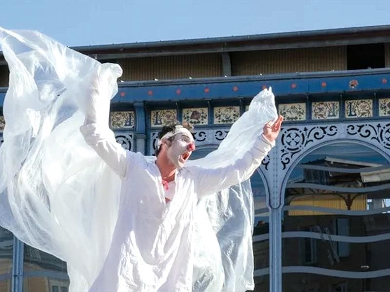 Illustration de l'événement : Spectacle - Le Delirium du papillon