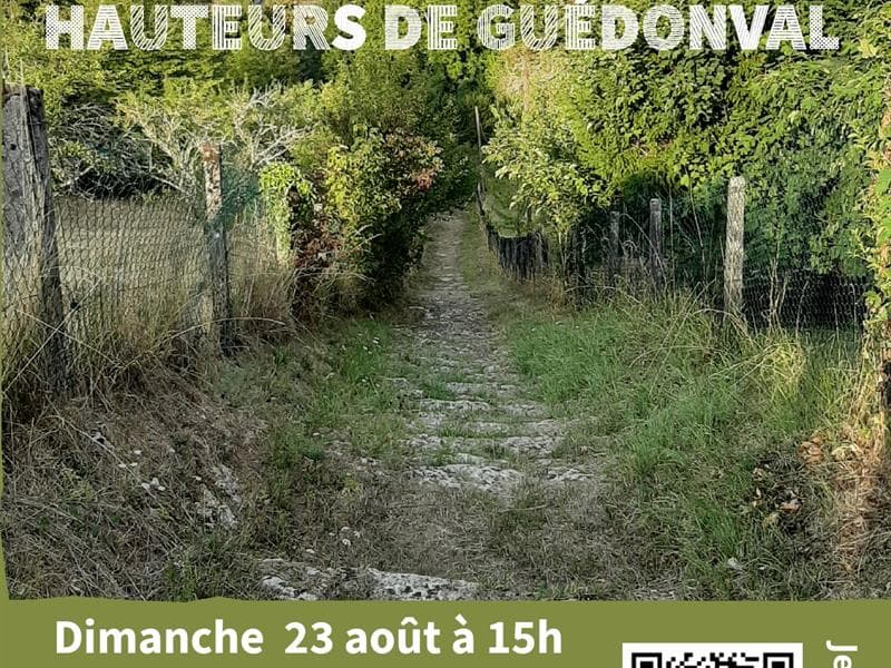 Illustration de l'événement : Visite-randonnée sur les hauteurs de Guédonval