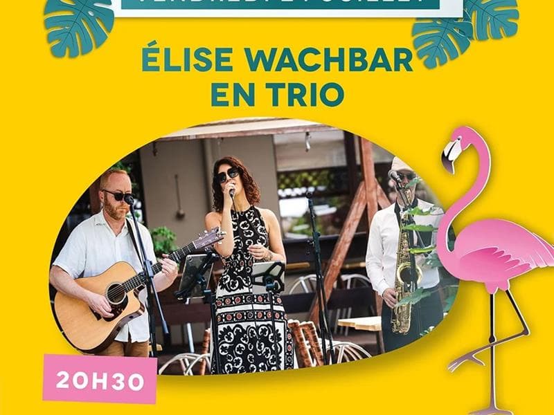 Illustration de l'événement : Concert - Élise Wachbar en trio
