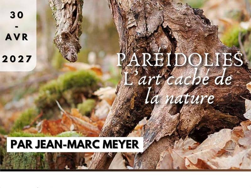 Illustration de l'événement : Expo photo - Paréidolies, l'art caché de la nature