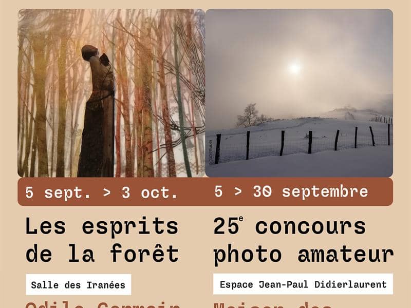 Illustration de l'événement : Exposition les esprits de la forêt