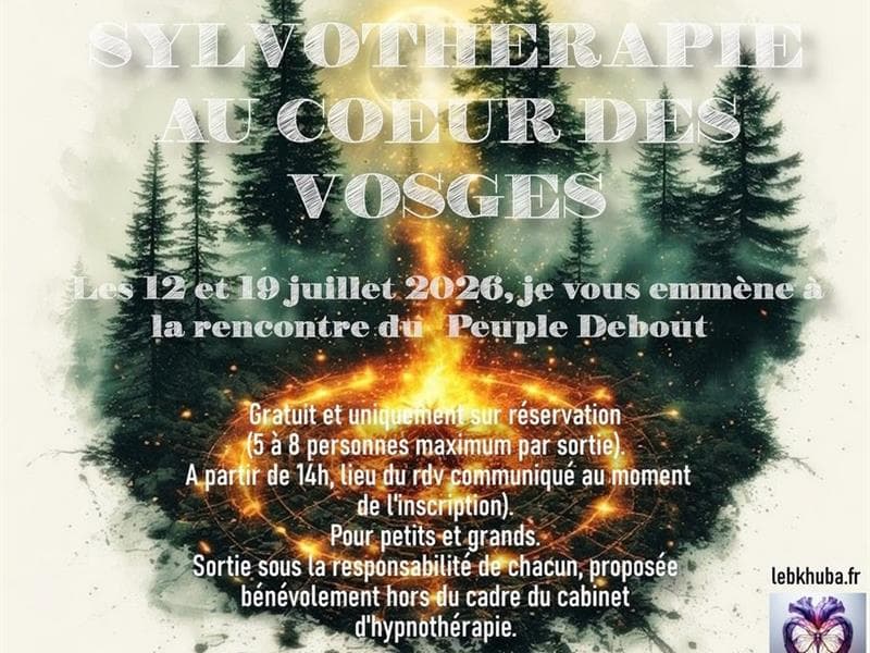 Illustration de l'événement : Sortie sylvothérapie au cœur des Vosges