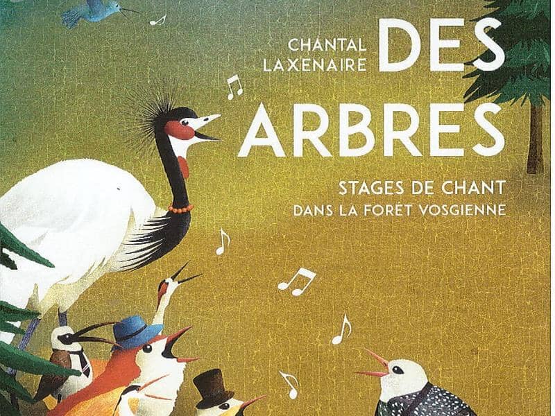 Illustration de l'événement : Stage de chant