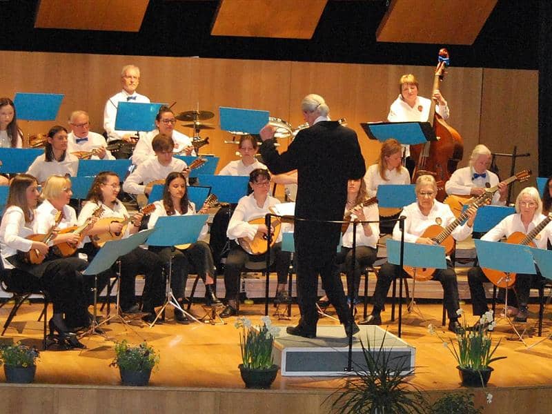 Illustration de l'événement : Concert de l'orchestre de mandolines et guitares de Remiremont