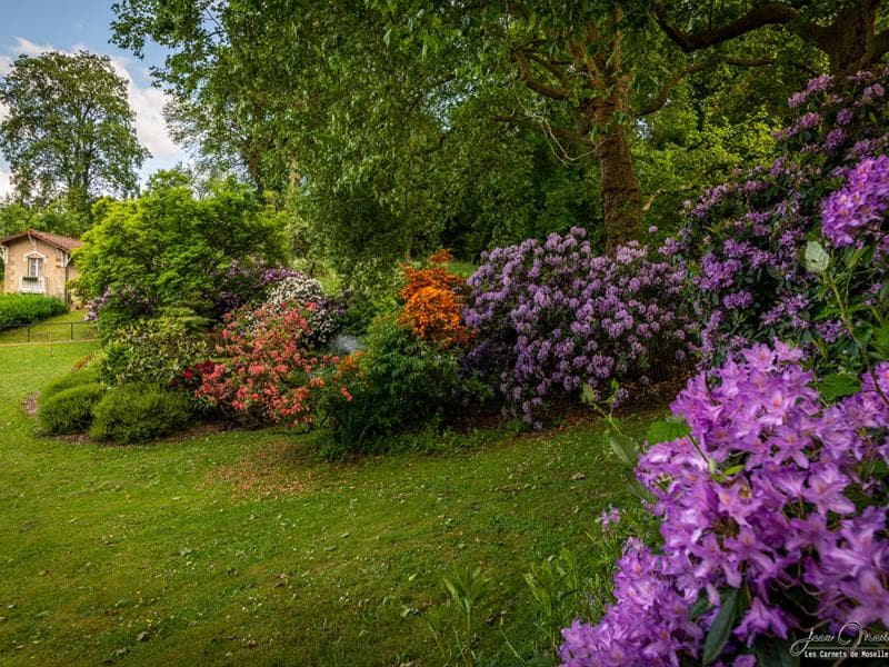 Illustration de l'événement : Rendez-vous au jardin du Château d'Hausen