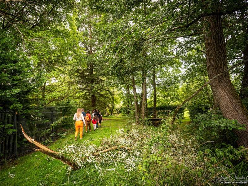 Illustration de l'événement : Balade contée au cœur du marais de Valette
