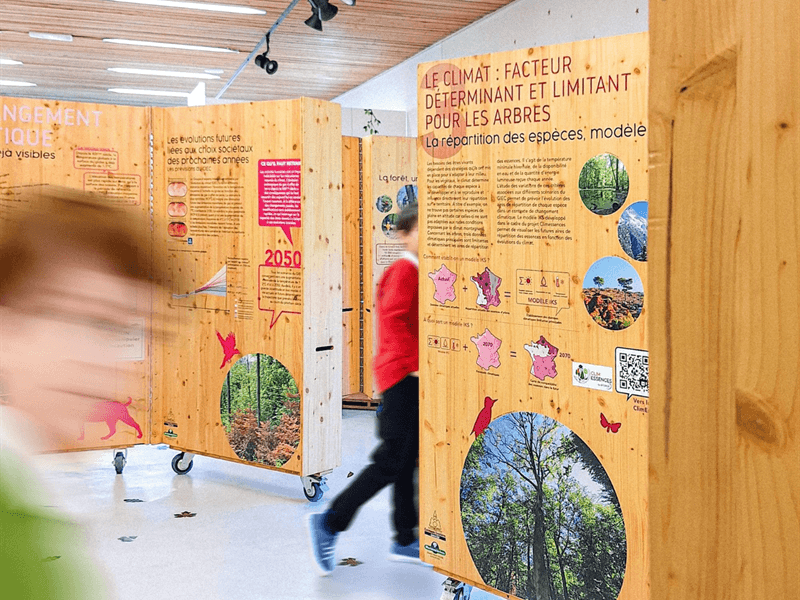 Illustration de l'événement : Exposition - Les forêts du Grand Est à l'épreuve du changement climatique