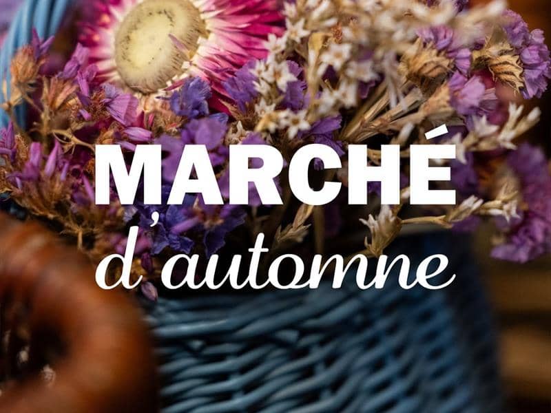 Illustration de l'événement : Marché d'automne à Bouzonville